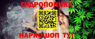 гашик Пенза