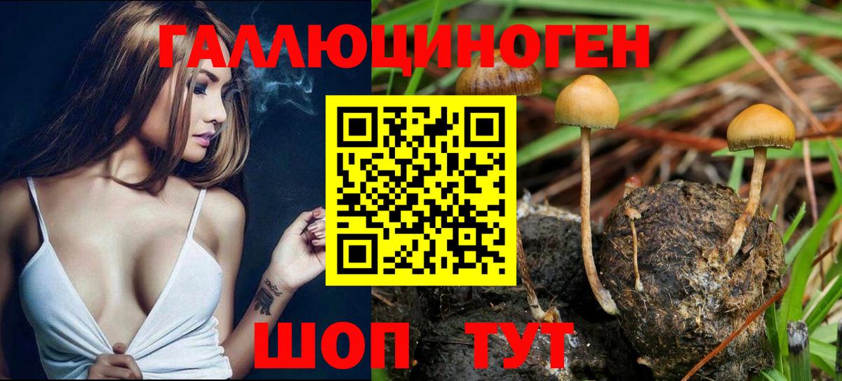 Псилоцибиновые грибы Magic Shrooms Серов