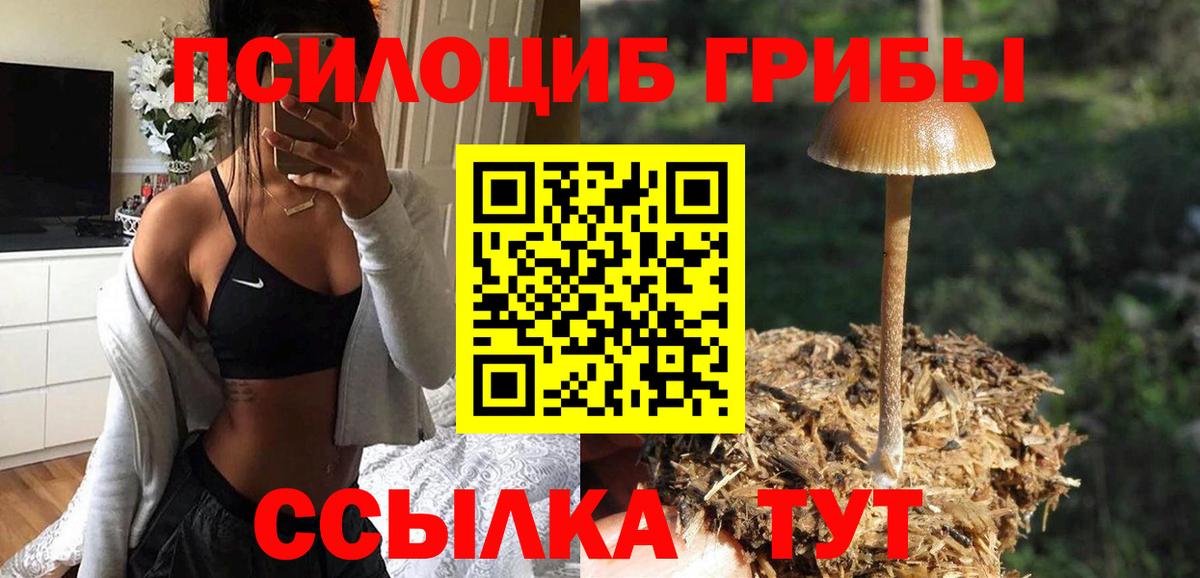 Галлюциногенные грибы мухоморы  закладки  Псилоцибиновые грибы прущие грибы  Серов  Вход с VPN 